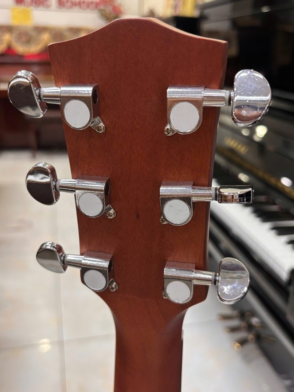 Guitar Acoustic Asolid 54CA