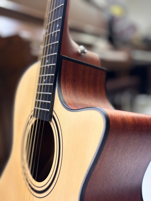 Guitar Acoustic Asolid 54CA