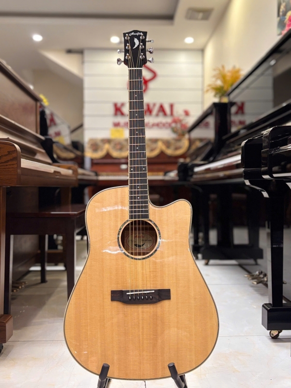 Guitar Acoustic Asolid 54CD