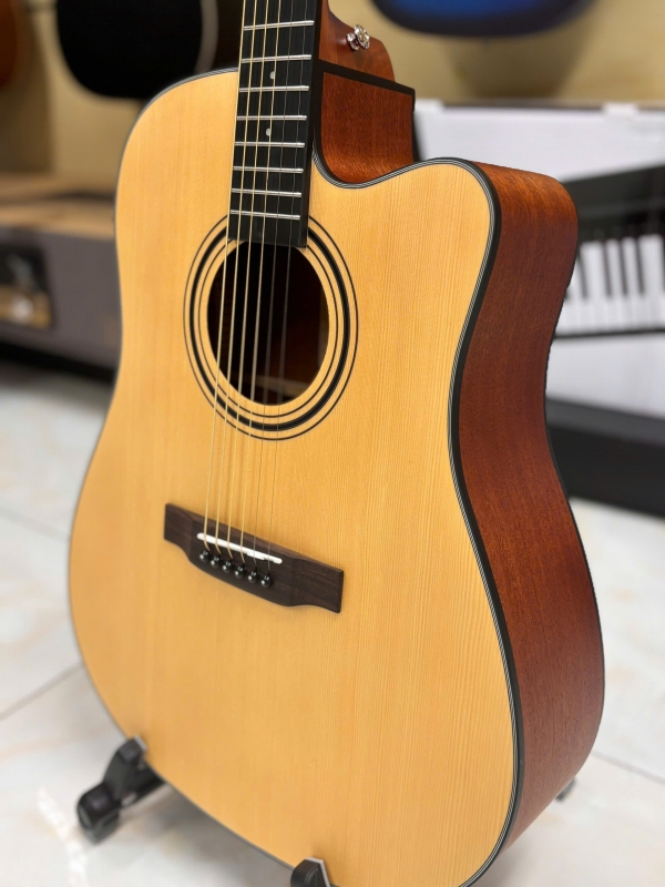 Guitar Acoustic Asolid 54CD