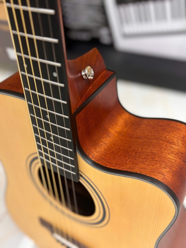 Guitar Acoustic Asolid 54CD