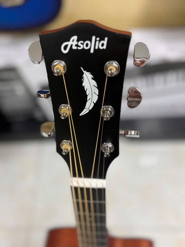 Guitar Acoustic Asolid 54CD