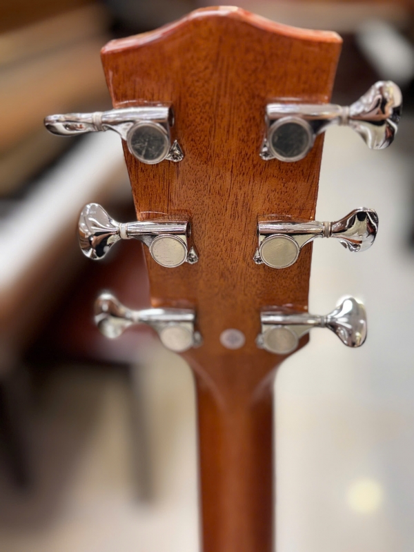 Guitar Acoustic Asolid 54CD