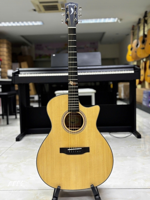 Guitar Acoustic Asolid 54GA