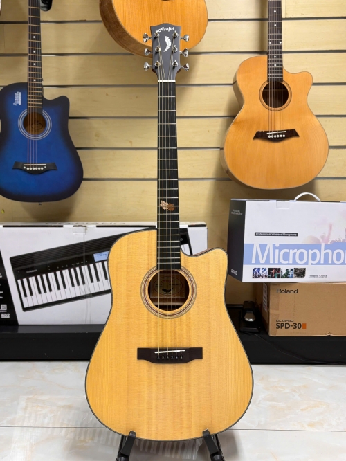 Guitar Acoustic Asolid 54GD