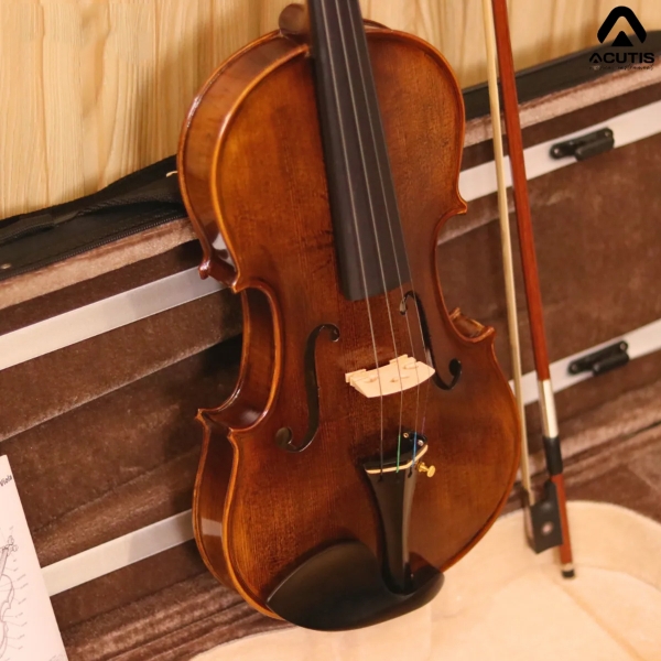 Violin Acutis AVF100