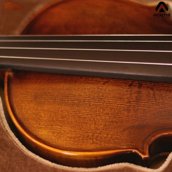 Violin Acutis AVF100