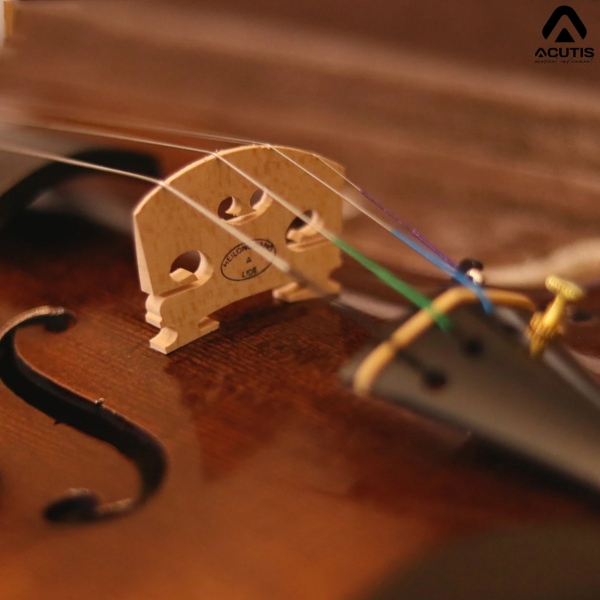 Violin Acutis AVF100