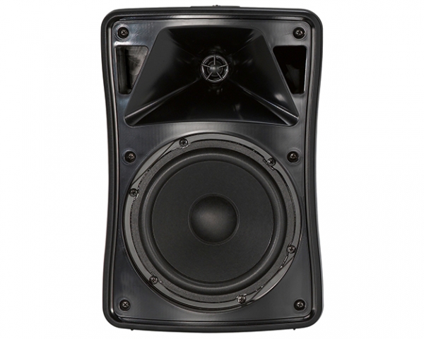 Loa Inter-M WS-80T