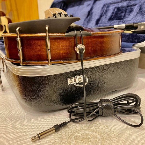 Violin Samuel Eastman Series+ VL145+