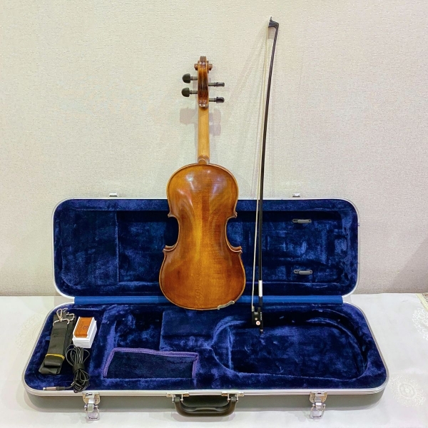 Violin Samuel Eastman Series+ VL145+
