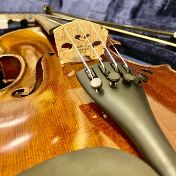 Violin Samuel Eastman Series+ VL145+