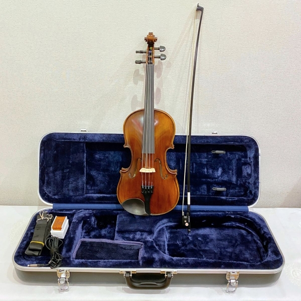 Violin Samuel Eastman Series+ VL145+