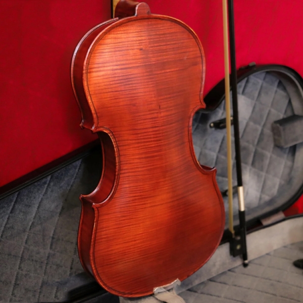 Violin Gliga GEMS I AW-V044-O