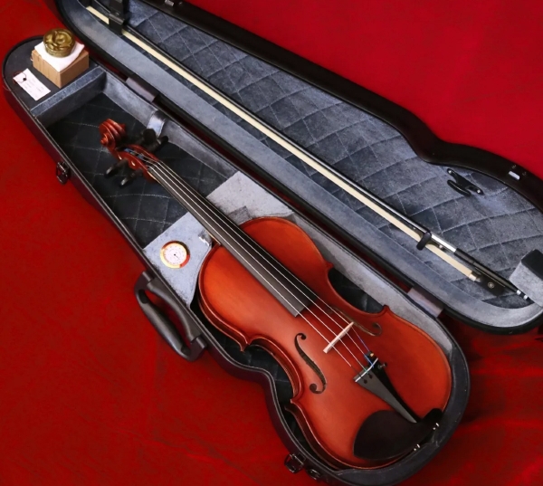 Violin Gliga GEMS I AW-V044-O
