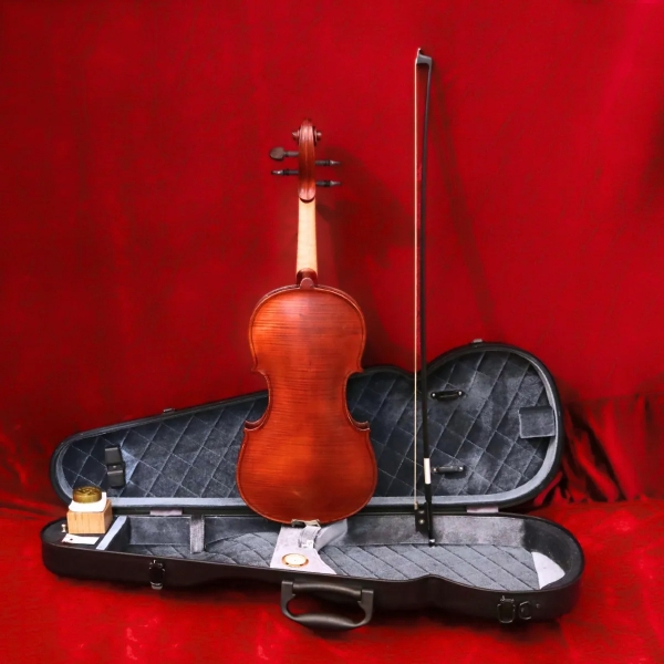 Violin Gliga GEMS I AW-V044-O