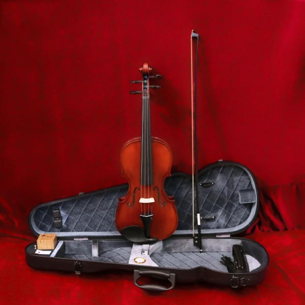 Violin Gliga GEMS I AW-V044-O