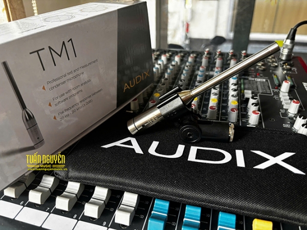 Micro Audix TM1