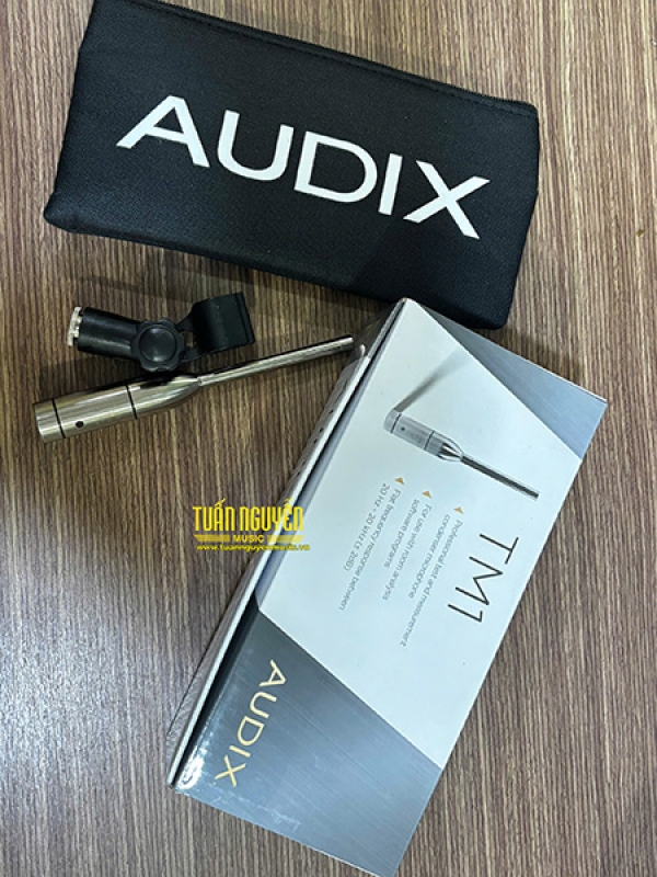 Micro Audix TM1