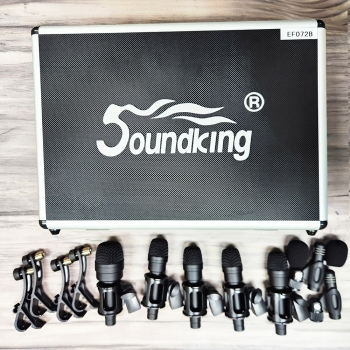 Micro trong Soundking EF072B