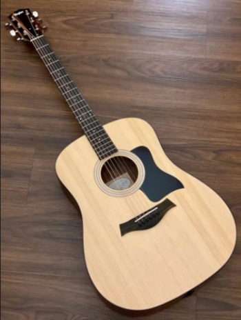  Guitar Taylor 110E
