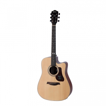  Guitar Mantic GT10 DCE
