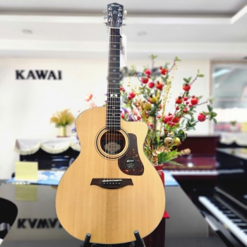  Guitar Mantic GT10 GC