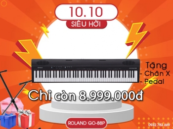  Roland Go-88P