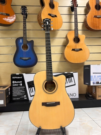 Guitar Acoustic Asolid 54CD