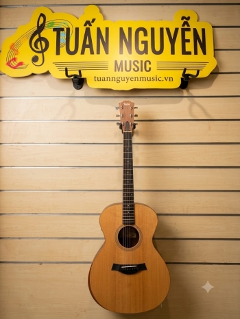Taylor A12