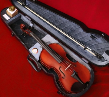  Violin Gliga GEMS I AW-V044-O