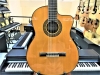 Takamine GC5CE NAT