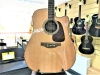 Takamine GD93CE NAT