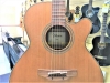 Takamine P3NC