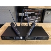 Micro không dây Soundking W95R-TH