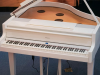 Đàn piano điện Roland GP-9M-PW