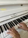 Đàn Piano Knabe WMV 132FD Màu Trắng