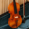 violin Acutis AHV2103