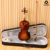 Violin Acutis AYV3005
