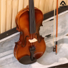 Violin Acutis AYV3005