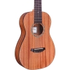 Cordoba Mini II