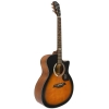 Đàn guitar Mantic GT 1GC-SB