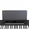 Organ Kurtzman K160