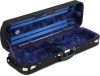 Đàn violin Andreas Eastman VL605