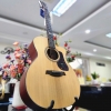 Guitar Mantic GT10 GC