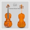 Violin Andreas Eastman Master VL906