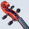 violin Eastman Jean-Pierre Lupot VL501