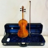 Violin Eastman Rudoulf Doetsch VL701