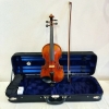 Violin Eastman Rudoulf Doetsch VL701