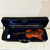 Violin Eastman Rudoulf Doetsch VL701